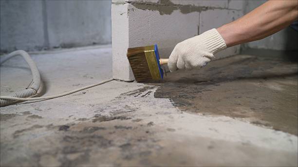 24/7 Emergency Exterior Waterproofing experts in Bloomingdale, MI
